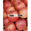 Fuji apple dealers