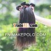 Wholesale Price 100% Virgin Unprocessed Philippines Hair