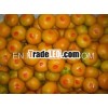2013 Cheap Sweet Nanfeng Baby Orange on Sale