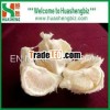 China fruit pomelo