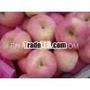 premium Fuji apple
