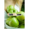 China Green Fresh Apple