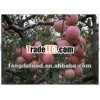 Red delicious apple/ Fresh apple