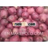 good quality red huaniu apple