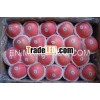2013 New Crop Fuji Apple