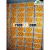 supply sweet Mandarin Orange