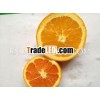 China standard fresh navel orange