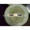 12kg carton new fresh pomelo