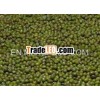 export green mung beans