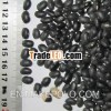 small Black kidney bean
