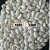 2013 new crop White kidney bean