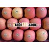 china fuji apple supplier