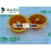 Fresh citrus fruit/navel orange