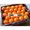 2013 New Crop mandarine oranges