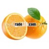 2012 new group fresh navel orange