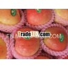 2012 fresh new gala apple
