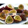 Fresh Passion Fruit/ Viet Nam passion fruit
