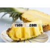 Fresh Sweet Pineapple