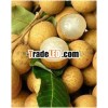 LONGAN FRUIT - HIGH QUALITY - SPECIAL PRICE