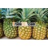 FRESH PINEAPPLE WITH GOOD TASTY