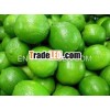 FRESH LIME BEST PRICE