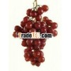 Seedless Grapes