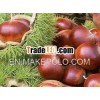 MEIKEDUO Fresh Chestnut in bulk
