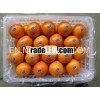 2013 New Crop orange color fruit