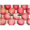 Chinese fresh Fuji apple / Shandong Yantai Red Fuji