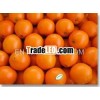 Jiangxi fresh Navel orange