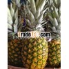 Fresh pineapple