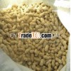 China raw peanut with shell