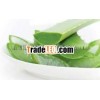 Fresh aloe vera