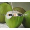 Diamond Young coconut From India