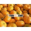 lugan orange
