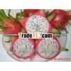 DRAGON FRUIT- HIGH QUALITY - BEST PRICE
