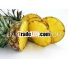 FRESH PINEAPPLE: HIGH QUALITY - BEST PRICE