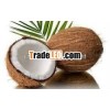 Brown young Coconut
