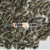 sunflower seeds price