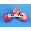 Red star apple