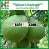 Chinese honey pomelo