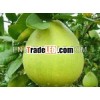 Fresh pomelo