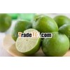 FRESH LEMON SEEDLESS HIGH QUALITY