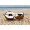 Fresh coconut from India