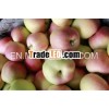 red sweet apple /chinese apple fresh