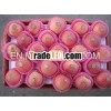 2011 New crop golden delicious apple