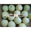 Fresh Golden Delicious Apple