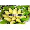FRESH SWEET MANGO - SPECIAL PRICE - SPECIAL QUALITY