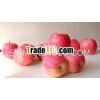red fresh chinese apple