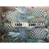 FRESH PINEAPPLE with HIGH QUALITY